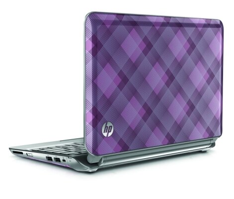 HP Mini 210 Iceberry 1